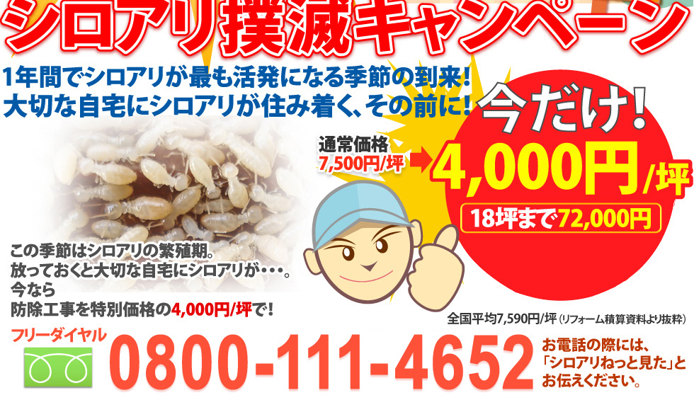 シロアリ撲滅キャンペーン実施中！5月末迄　4,700円/坪